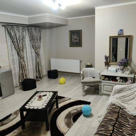 Coressy Studio Brasov Bagian luar foto