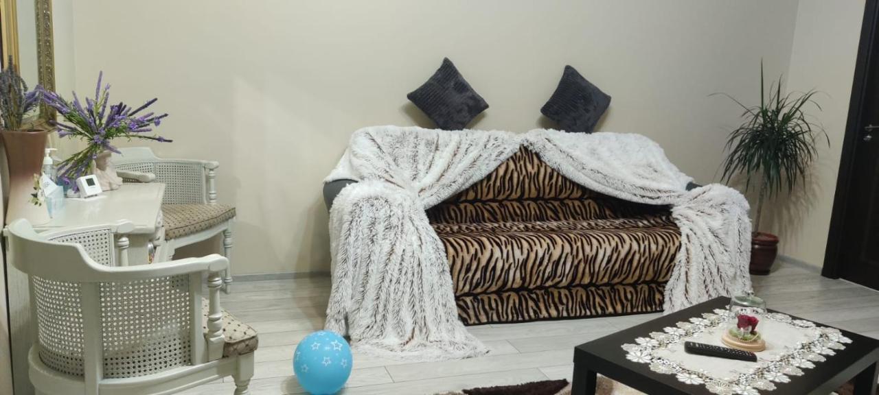 Coressy Studio Brasov Bagian luar foto
